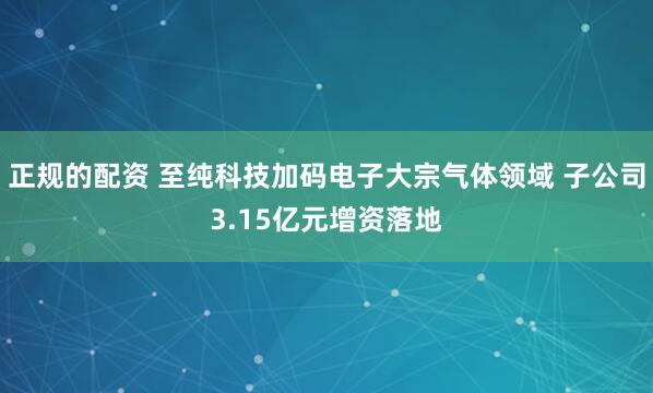 正规的配资 至纯科技加码电子大宗气体领域 子公司3.15亿元增资落地